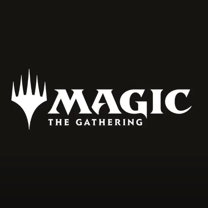 Magic - The Gathering