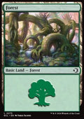 Forest (V.1)