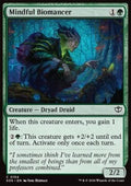 Mindful Biomancer
