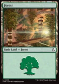 Forest (V.1)